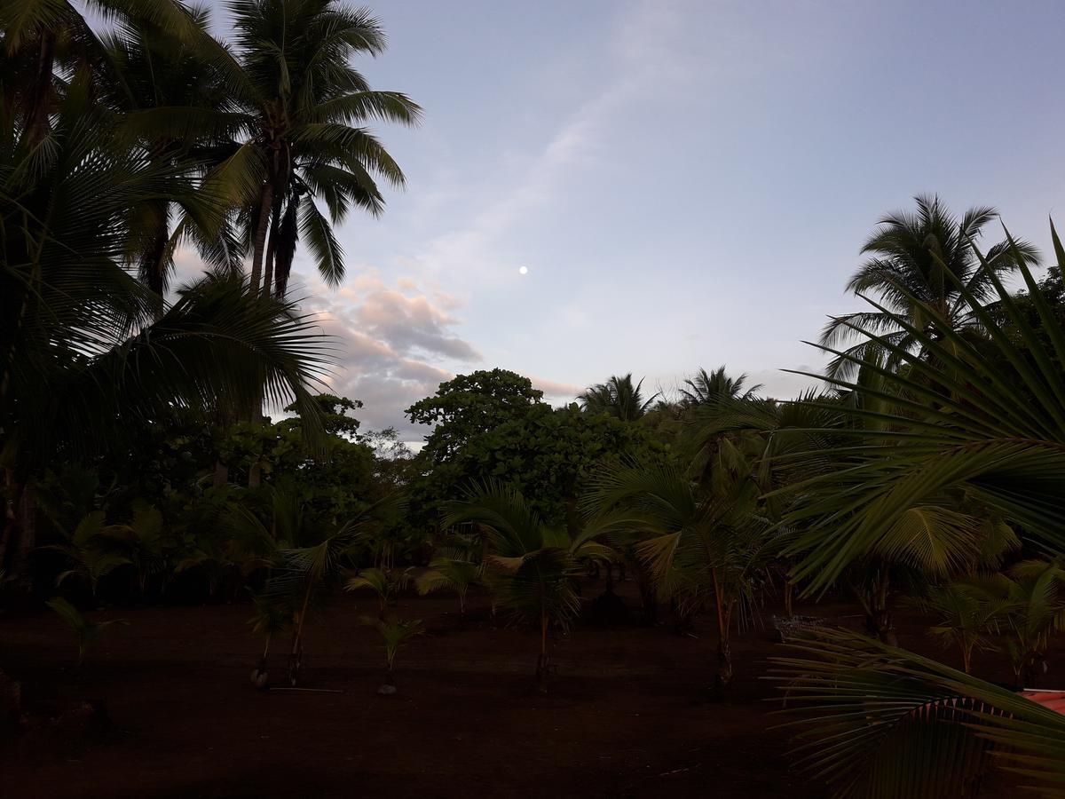 Hostal Pachamama Isla de Canas エクステリア 写真