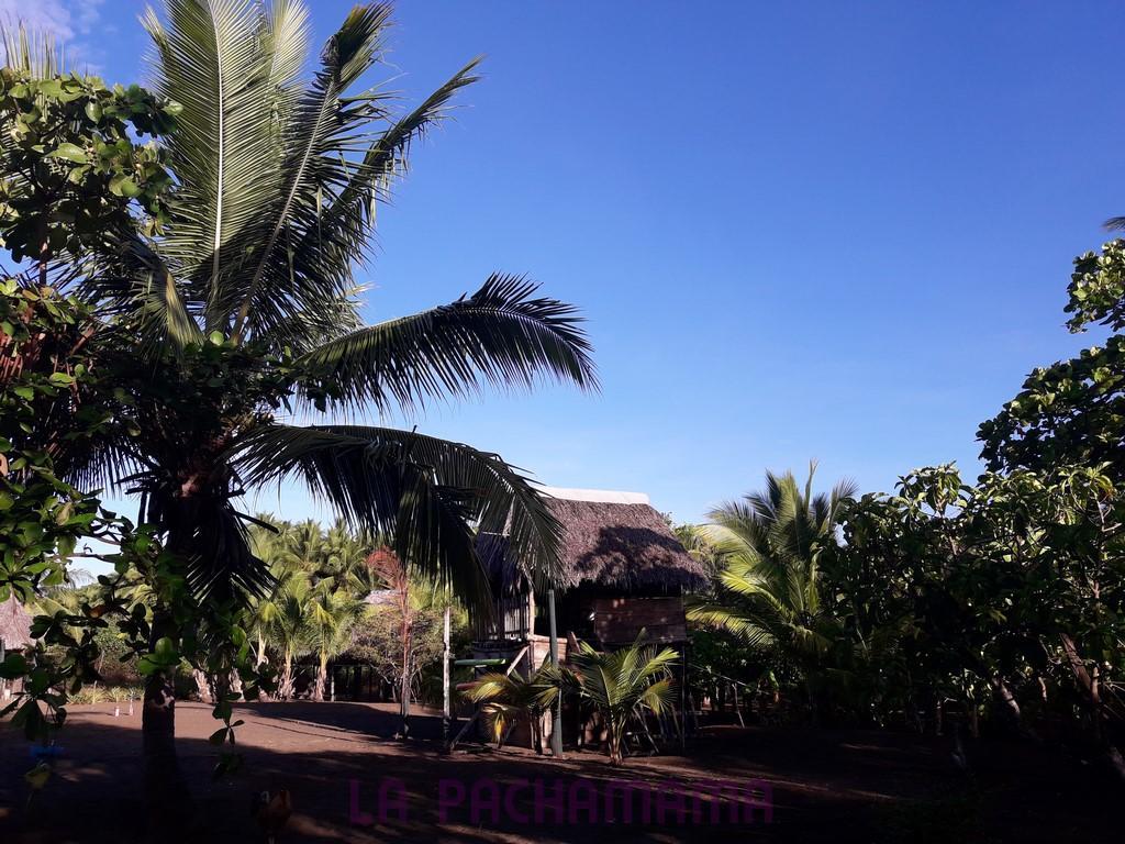 Hostal Pachamama Isla de Canas エクステリア 写真