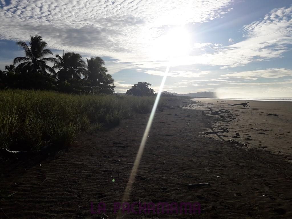 Hostal Pachamama Isla de Canas エクステリア 写真