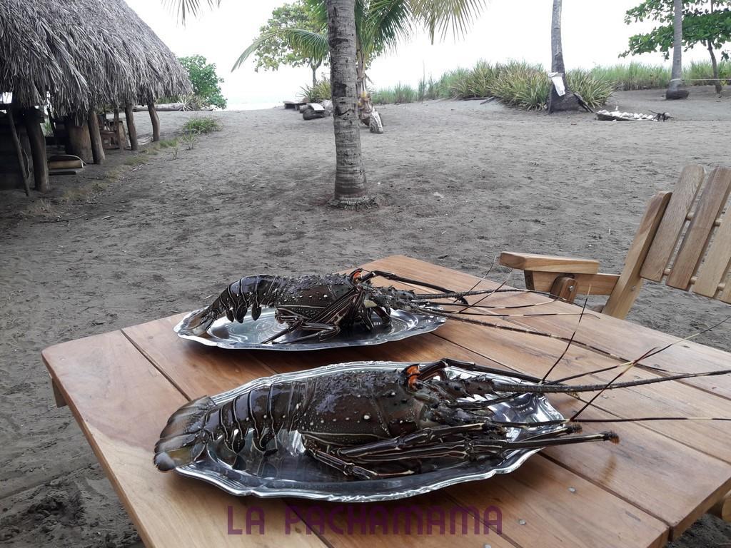Hostal Pachamama Isla de Canas エクステリア 写真