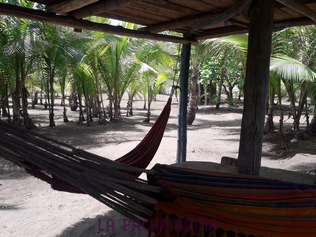 Hostal Pachamama Isla de Canas エクステリア 写真