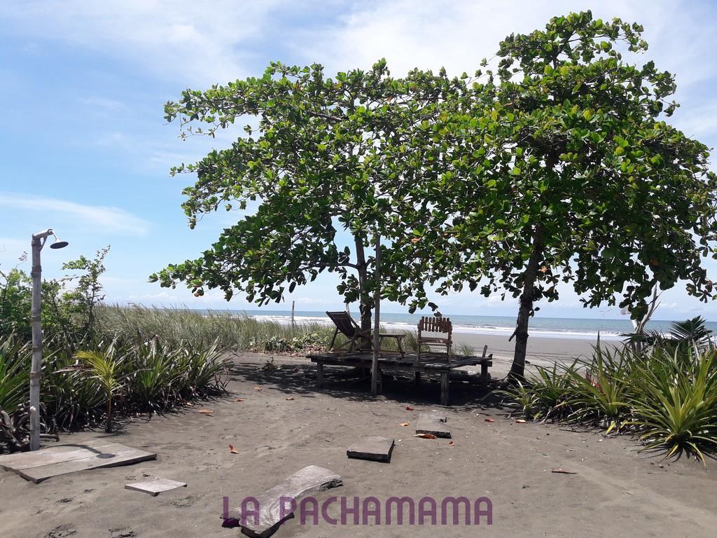 Hostal Pachamama Isla de Canas エクステリア 写真