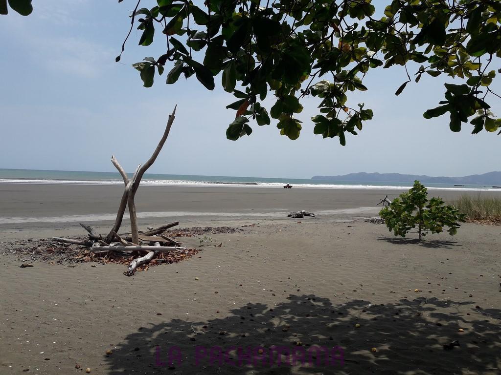 Hostal Pachamama Isla de Canas エクステリア 写真