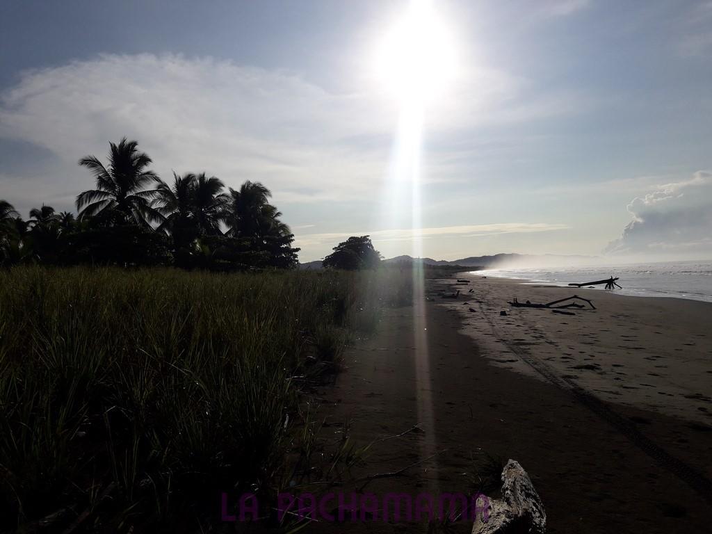 Hostal Pachamama Isla de Canas エクステリア 写真